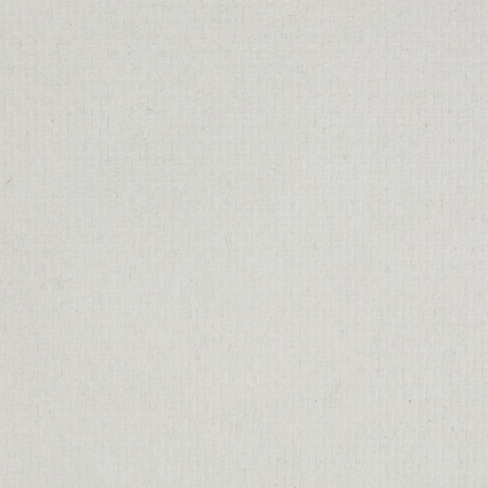 Zbliżenie pustej białej, teksturowanej powierzchni papieru z delikatnymi liniami i małymi plamkami - idealne dla Scott® ESSENTIAL™ ręczników - rolka / Biały (6 rolek x 1 arkusz, karton) od Kimberly-Clark GmbH. Obraz jest równomiernie oświetlony i wolny od oznaczeń lub obiektów.