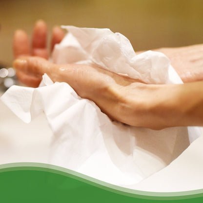 Osoba suszy ręce złożonymi ręcznikami Hostess™ NATURA™ białymi od Kimberly-Clark GmbH. Rozmyte tło i zielona, falista krawędź podkreślają produktowe ręczniki papierowe odpowiednie do publicznych toalet.