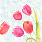 Delikatna akwarela z pięcioma różowymi i czerwonymi tulipanami z zielonymi łodygami, zainspirowana serwetkami 40x40 cm 4-warstwowe Klassik z malowanymi tulipanami (50 sztuk) firmy Duni GmbH, na jasnoniebieskim, teksturowanym tle.