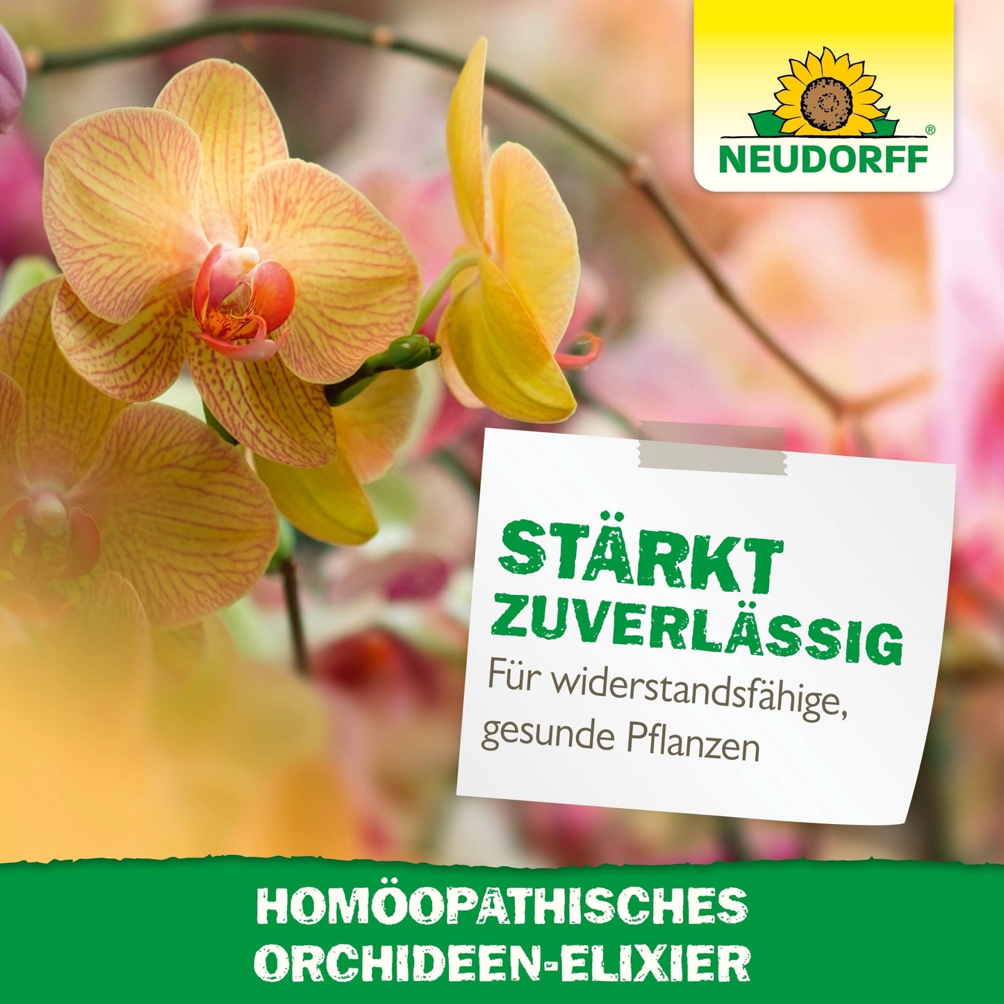Zbliżenie żółtych i różowych orchidei z napisem: "Wzmacnia niezawodnie. Dla odpornych, zdrowych roślin." Logo sklepu Neudorff. Na dole tekst: "Homeopatyczny eliksir do orchidei - środek wspomagający pielęgnację orchidei."