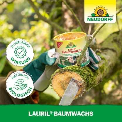 Osoba w zielonych rękawiczkach nakłada szpatułką Lauril Baumwachs z Neudorff Shop na świeżo przycięty konar drzewa. Produkt może zapewnić niezawodną ochronę ran drzewnych i podkreśla użycie naturalnych surowców.