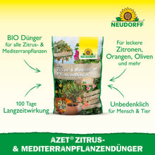 Na zdjęciu Azet Zitrus- & MediterranpflanzenDünger z Neudorff Shop, organiczny nawóz pełny dla roślin śródziemnomorskich w donicach, takich jak cytryny, oliwki, pomarańcze i oleander, o długotrwałym działaniu.