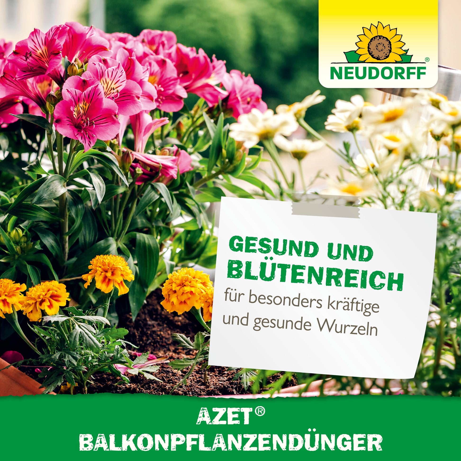 Rosa und gelbe Sommerblumen blühen in Balkonkästen mit einem Schild: "Gesund und Blütenreich für besonders kräftige und gesunde Wurzeln". Die Logos von Neudorff Shop Azet BalkonpflanzenDünger und organischer Volldünger sind sichtbar.