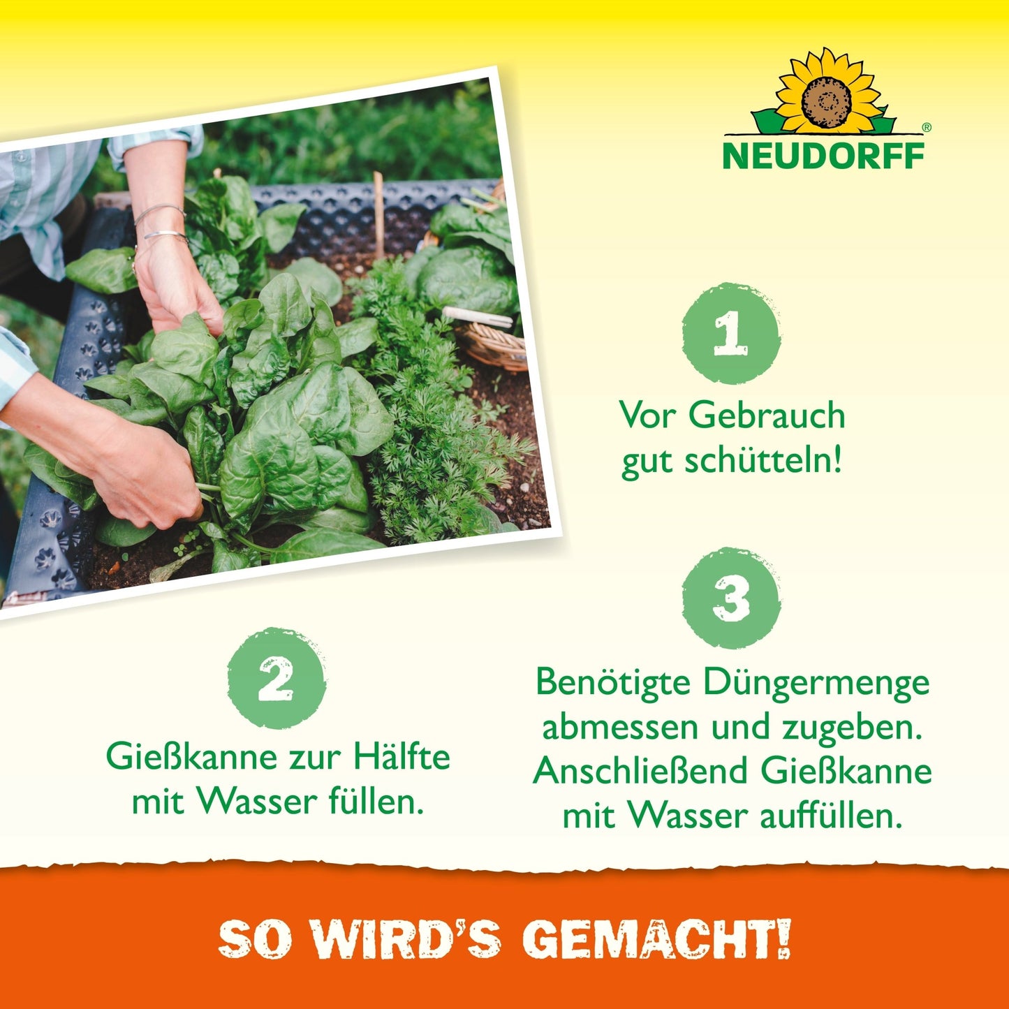 Osoba podlewa zielone rośliny liściaste w podwyższonym grządce Azet HochbeetDünger płynny z Neudorff Shop za pomocą konewki. Przedstawione są kroki przygotowania roztworu odżywczego oraz logo Neudorff, w tym instrukcja w języku niemieckim.