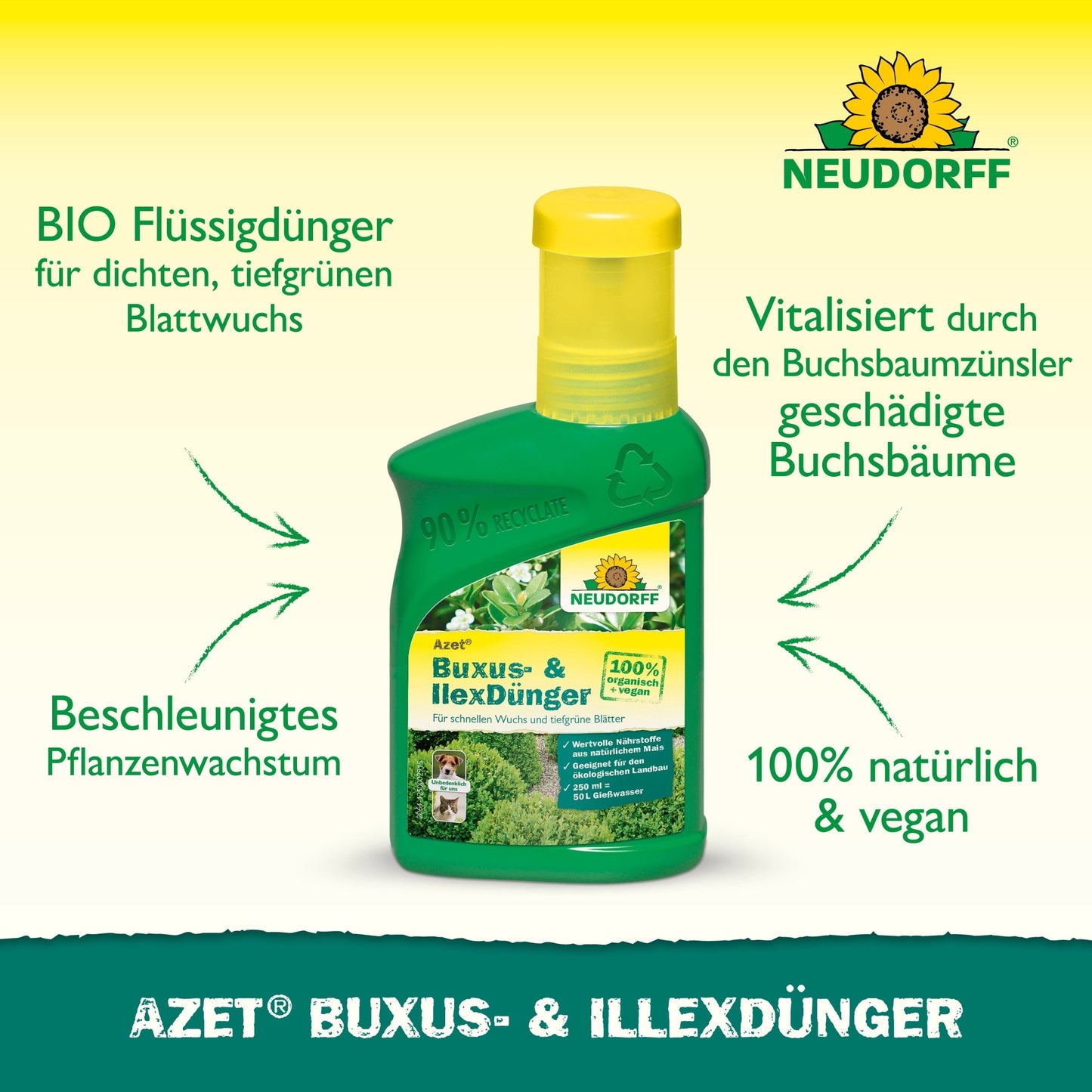 Butelka płynnego nawozu Azet Buxus- & IlexDünger od Neudorff Shop stoi na zielonej powierzchni. Tekst podkreśla organiczną, 100% naturalną i wegańską formułę, która wspomaga wzrost i rewitalizuje bukszpan oraz inne zimozielone rośliny doniczkowe.