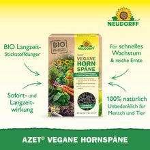 Azet Vegane Hornspäne od Neudorff Shop jest przedstawiony na zielonym tle, z tekstem promującym biologiczne, wegańskie, długotrwałe i w 100% naturalne właściwości dla bezpiecznego wzrostu roślin.