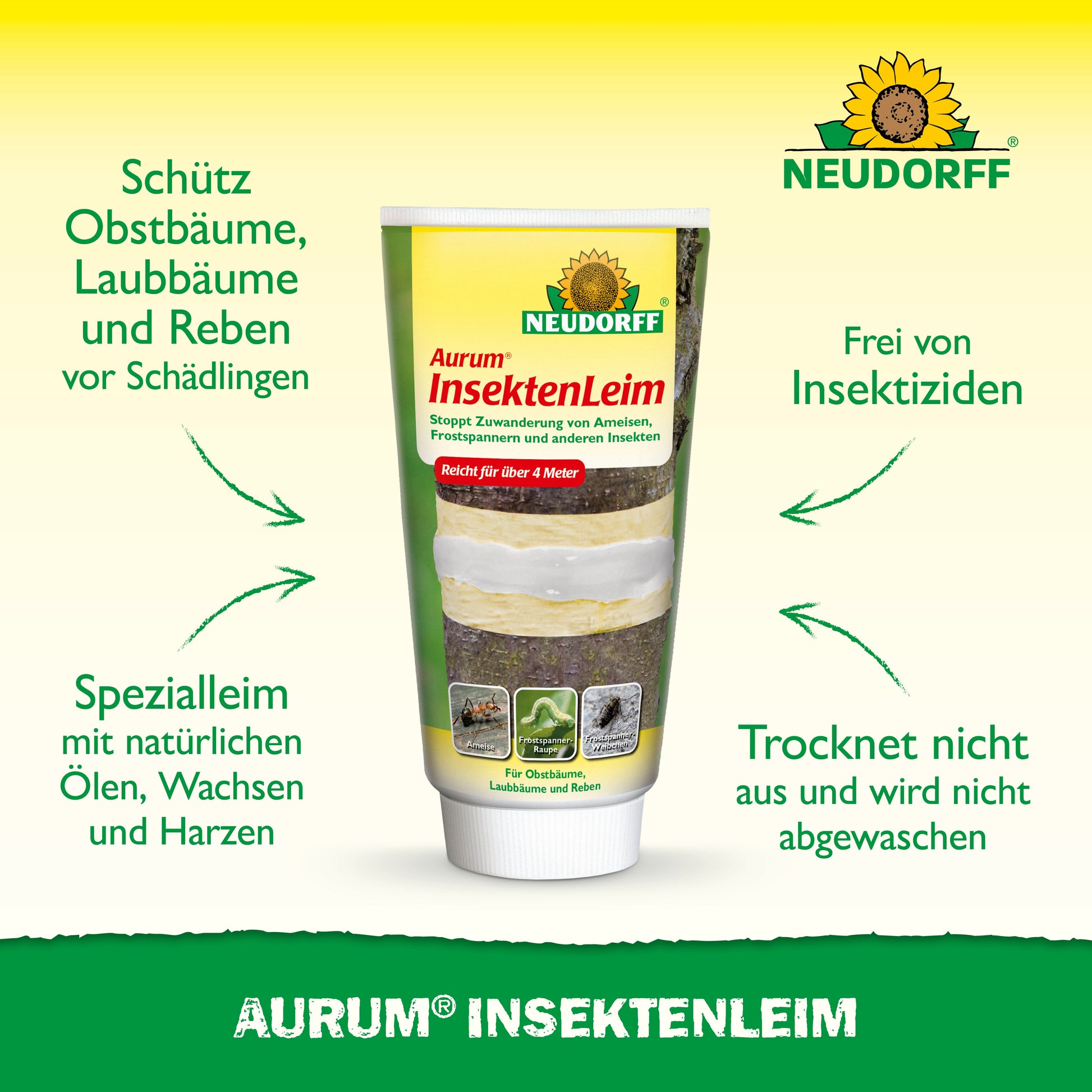 Eine Tube Aurum InsektenLeim von Neudorff Shop steht aufrecht und trägt einen deutschen Text zum Schutz von Obstbäumen vor Ameisen und Wintermottenweibchen. Auf dem grün-gelben Hintergrund ist oben das Neudorff-Logo zu sehen.