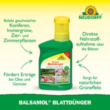 Zielona butelka Balsamol Blattdünger z Neudorff Shop stoi na żółto-zielonym tle, z tekstem podkreślającym jego zalety dla roślin zimozielonych, drzew iglastych i szybkiego przyswajania składników odżywczych.