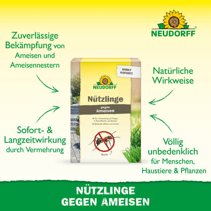 In der Mitte steht eine "Nützlinge gegen Ameisen"-Box von Neudorff Shop mit grünem und gelbem Branding. Der deutsche Text erklärt, dass Nematoden Ameisennester effektiv und natürlich, sicher für Menschen, Tiere und Pflanzen bekämpfen.