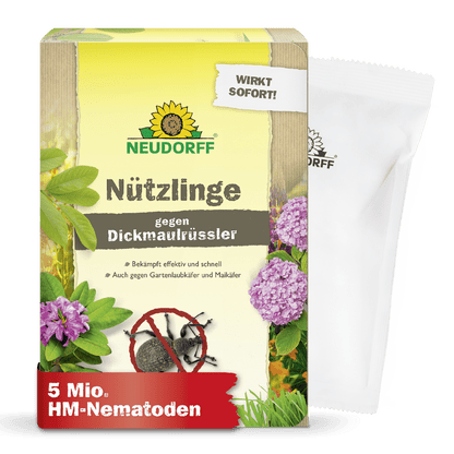 Eine Schachtel Neudorff Shop Nützlinge gegen Dickmaulrüssler zur Bekämpfung des Reblausbefalls mit Pflanzen, Insekten und Produktinformation. Ein weißes Tütchen auf der rechten Seite zeigt an, dass 5 Millionen HM-Nematoden enthalten sind.