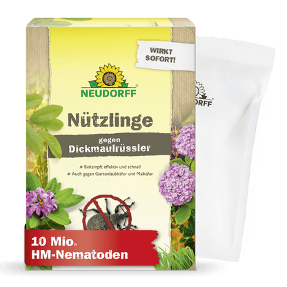 Eine Neudorff Shop Nützlinge gegen Dickmaulrüssler Box mit Branding, Blumen, Käfer und "10 Mio. HM-Nematoden" bietet eine effektive Garten- und Engerlinge-Schädlingsbekämpfung. HM-Nematoden" bietet effektive Garten- und Engerlinge-Schädlingsbekämpfung. Hinter der Schachtel ist ein weißer Beutel teilweise sichtbar.