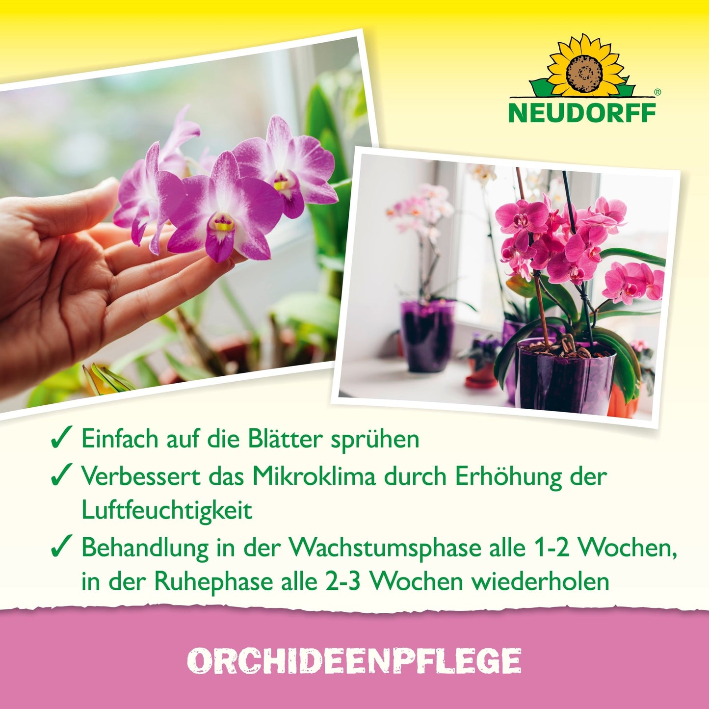 Ręka spryskuje orchideę produktem OrchideenPflege od Neudorff Shop. Niemiecki tekst zaleca regularne spryskiwanie tym produktem jako pomoc w pielęgnacji roślin, aby zwiększyć wilgotność powietrza i wspierać zdrowie orchidei. Na zdjęciu widać orchideę w tle.