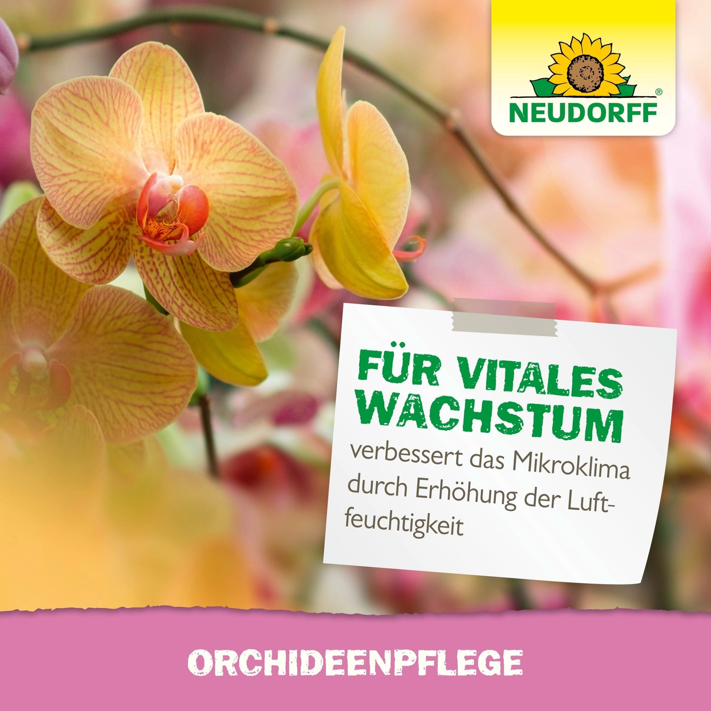 Widać z bliska kilka żółto-pomarańczowych kwitnących orchidei. Niemiecki znak reklamuje OrchideenPflege od Neudorff Shop i podkreśla poprawiony wzrost i zwiększoną wilgotność. Logo Neudorff pojawia się w prawym górnym rogu.