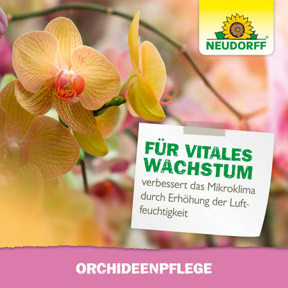 Widać z bliska kilka żółto-pomarańczowych kwitnących orchidei. Niemiecki znak reklamuje OrchideenPflege od Neudorff Shop i podkreśla poprawiony wzrost i zwiększoną wilgotność. Logo Neudorff pojawia się w prawym górnym rogu.