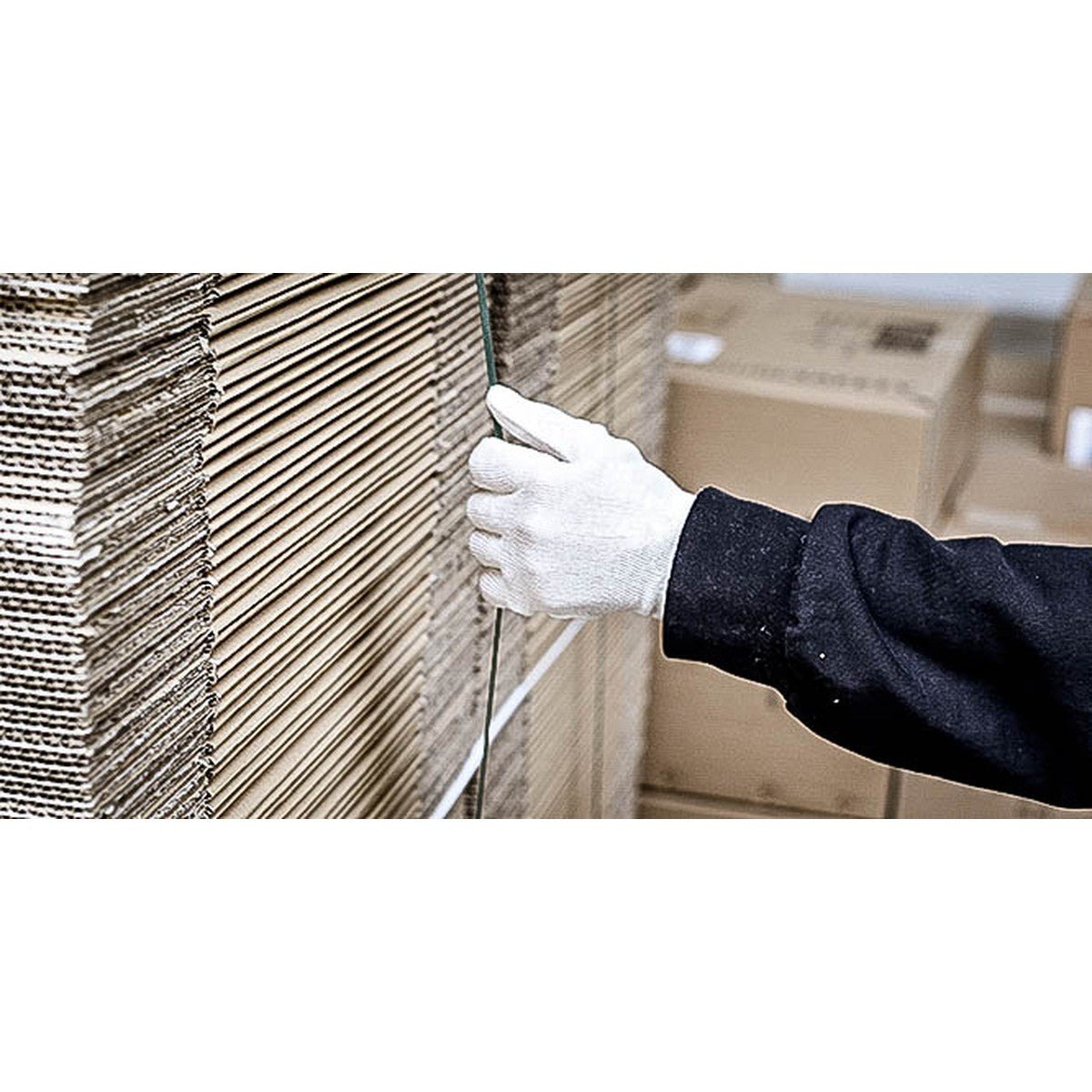 Rękawiczki bawełniane NITRAS, jersey z naturalnej bawełny | Opakowanie (12 par)