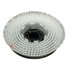 Szczotka szorująca Waschbeton (33 cm) od Diversey Deutschland GmbH & Co. OHG to szczotka szorująca z ukośnymi włosiami i czarnym rdzeniem, przeznaczona do swingo 1650 - idealna do czyszczenia powierzchni z betonu płukanego. Rozmiar opakowania: 1 sztuka. Przedstawiona na białym tle.