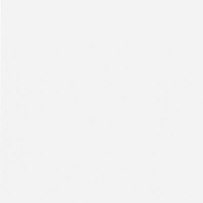 Ein schlichter, einfarbiger weißer Hintergrund – wie bei den PAPSTAR 50 Servietten, 2-lagig 1/4-Falz 40 cm x 40 cm der PAPSTAR GmbH – ohne Muster oder auffällige Merkmale.