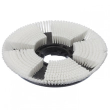 Diversey szczotka do szamponowania na sucho, Ø 43 cm, do TASKI ergodisc 165: Okrągła czarna szczotka z tworzywa sztucznego z promieniowo ułożonymi białymi włosami i otworem środkowym. Idealna do czyszczenia dywanów. Opakowanie zawiera 1 sztukę.