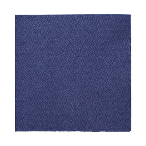Eine einfarbige dunkelblaue PAPSTAR 50 Servietten „DAILY Collection“ (32x32 cm, 1/4-Falz) der PAPSTAR GmbH ist auf weißem Hintergrund abgebildet. Die hochwertige Serviette besticht durch ihre schlichte, musterlose Struktur.