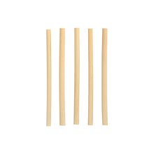 Pięć PAPSTAR słomek koktajlowych z trzciny "pure" (15 cm, Ø 7 mm) firmy PAPSTAR GmbH jest ustawionych pionowo na prostym białym tle, podkreślając eleganckie i przyjazne dla środowiska, biodegradowalne słomki.