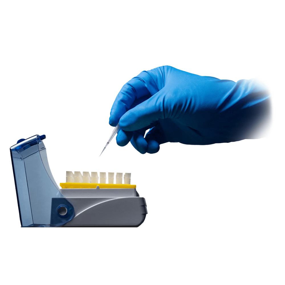 Ręka w rękawicy, chroniona przez rękawice AMPri SolidSafety High Risk Pro Nitril Typ A od AMPri Handelsgesellschaft mbH, trzyma pipetę nad szeregiem małych białych probówek w laboratoryjnej tacy. Taca jest częściowo przykryta przezroczystą niebieską pokrywką, co zapewnia zorganizowane miejsce pracy. Nieskazitelne tło podkreśla sterylne środowisko laboratoryjne.