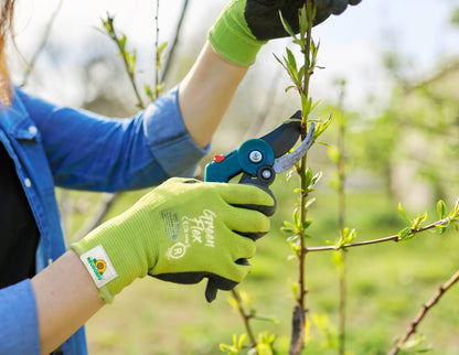 Eine Person im blauen Hemd trägt den KIXX Handschuh Green Flex von Neudorff Shop und schneidet an einem sonnigen Tag im Freien mit einer Gartenschere einen belaubten Ast.