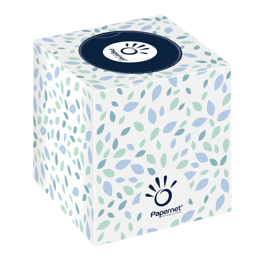 Eine würfelförmige Schachtel mit Papernet Kosmetiktüchern, 419583 | Packung (1 Stück). Die Schachtel hat einen weißen Hintergrund mit einem Muster aus grünen, blauen und hellblauen Blättern. Das Papernet-Logo ist auf der Vorder- und Oberseite der Schachtel deutlich zu sehen. Diese Tücher aus weichem Zellstoff sind perfekt für empfindliche Haut.
