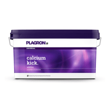 Prostokątny, 10-kilogramowy pojemnik z tworzywa sztucznego firmy Bertels B.V. z napisem „Plagron Calcium Kick” posiada fioletową pokrywę oraz uchwyt w stylu gradientu kolorystycznego; ten mineralny środek poprawiający jakość gleby poprawia jej strukturę i pełni funkcję regulatora pH.