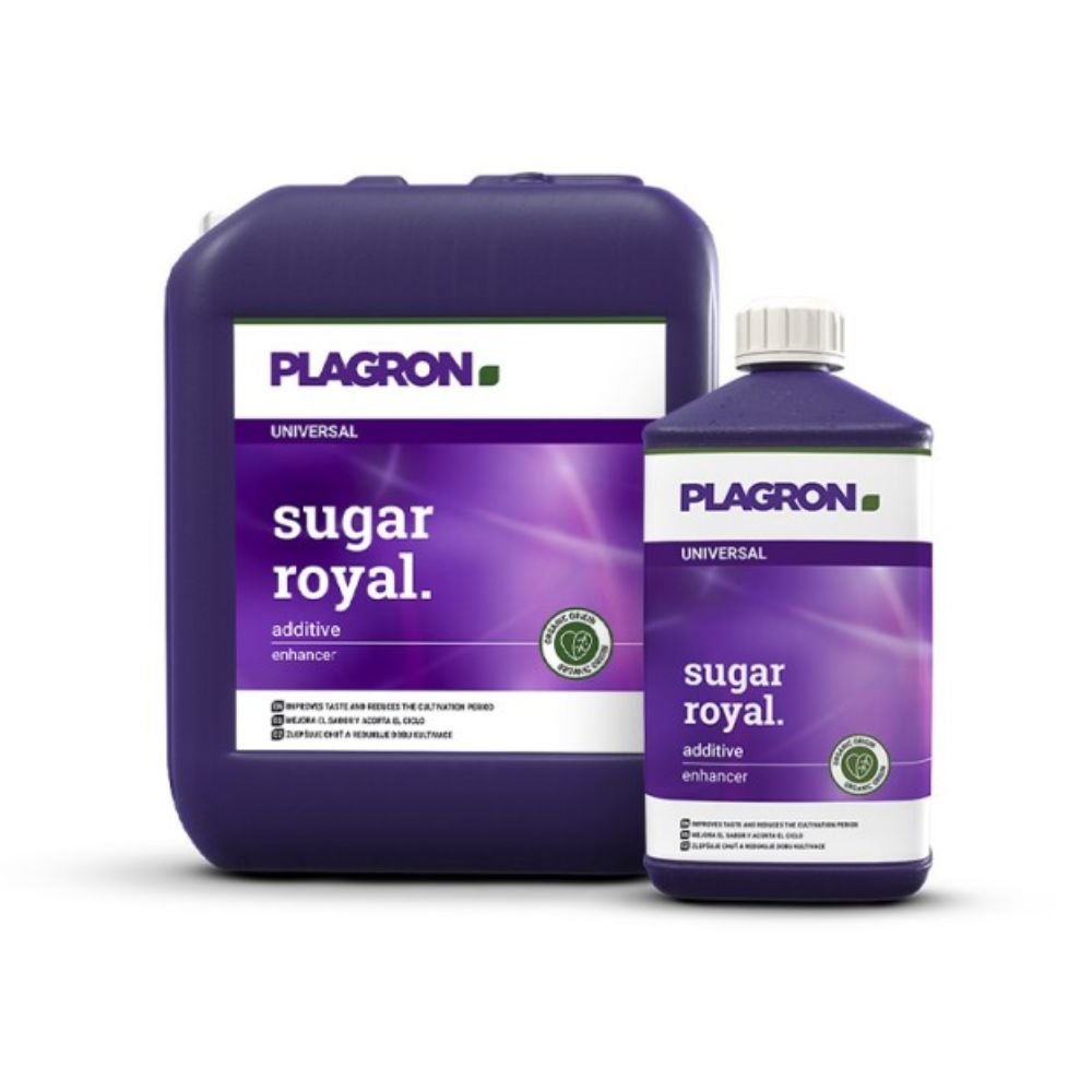 Na zdjęciu znajdują się dwa pojemniki Plagron Sugar Royal - Premium Bloom Enhancer od Bertels B.V.: większy kwadratowy i mniejszy cylindryczny, oba z jaskrawo fioletowymi etykietami, białym tekstem i zielonym logo, które gwarantuje jakość wzbogaconą w niezbędne aminokwasy.
