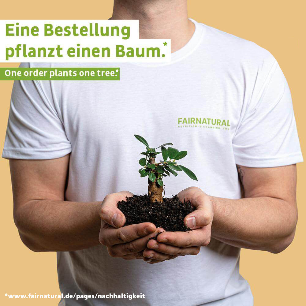 Organiczne białko serwatkowe w proszku bananowe